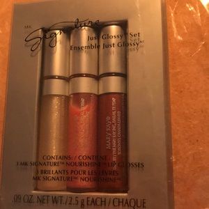 ✨Mary Kay sampler lipgloss✨